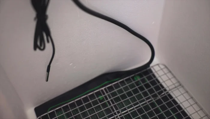 Plug the temperature controller into the wall.