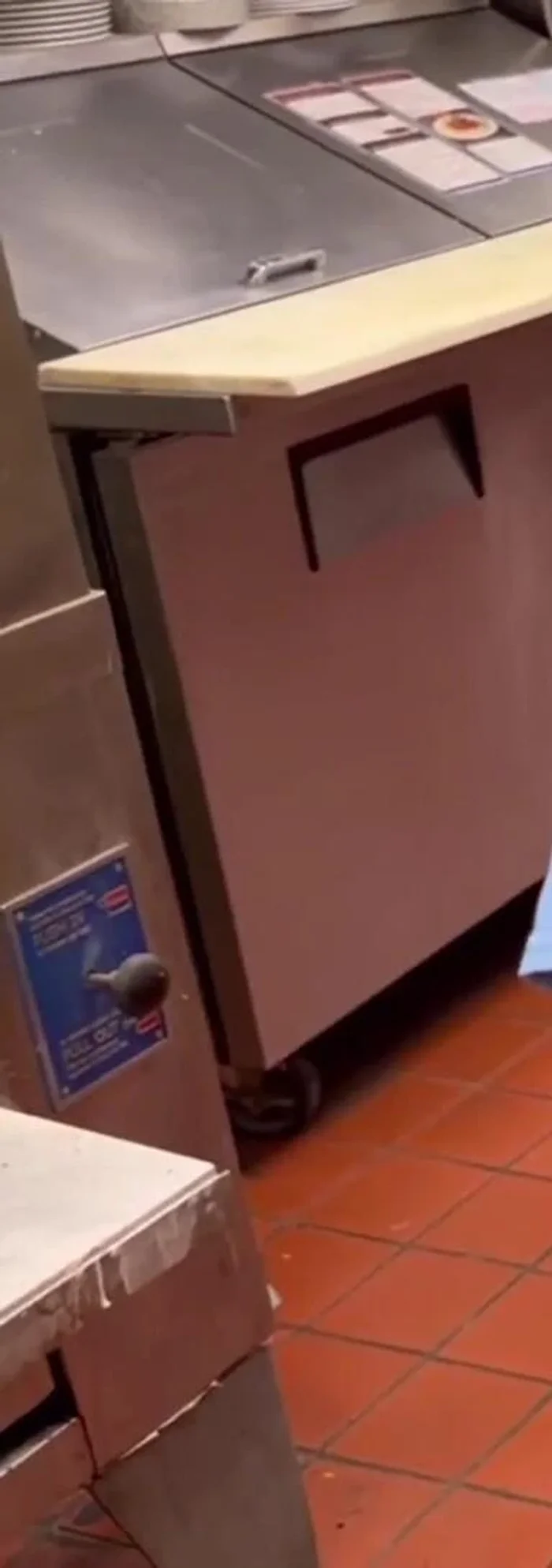 Sprinkle a good amount of salt over the wet oven surfaces. (Be cautious, as the mixture may splatter when applied).