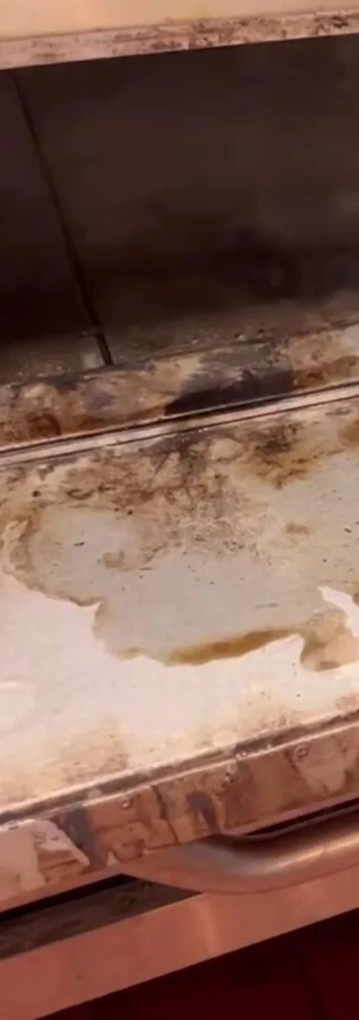 Use your scraper to remove the loosened grease and grime, moving it towards the front of the oven.