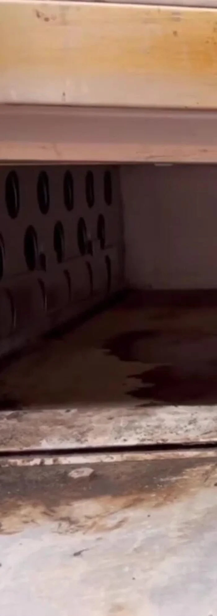 Let the mixture sit for approximately five minutes.