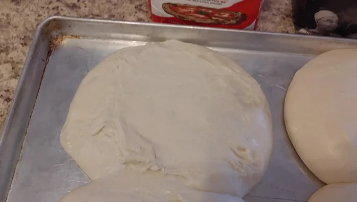 Pizza doughs rising comparison after fermentation