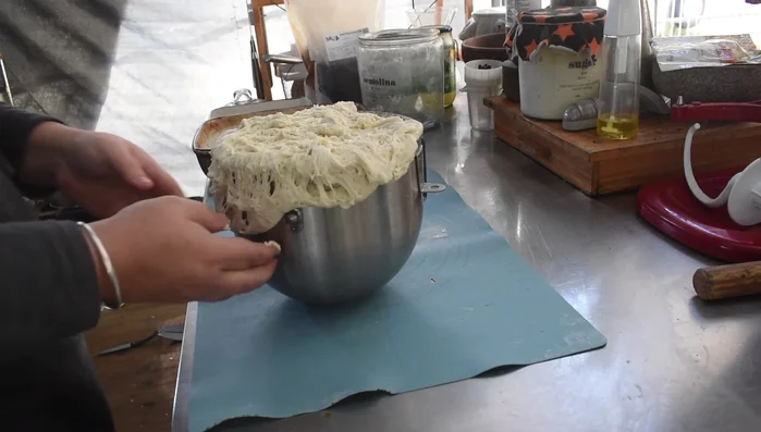 Overproofed pizza dough in a bowl