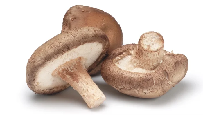 Shiitake mushrooms, rich flavor, hearty