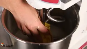 Authentic Mixer Review: Best Dough Mixer for Pizza Making?