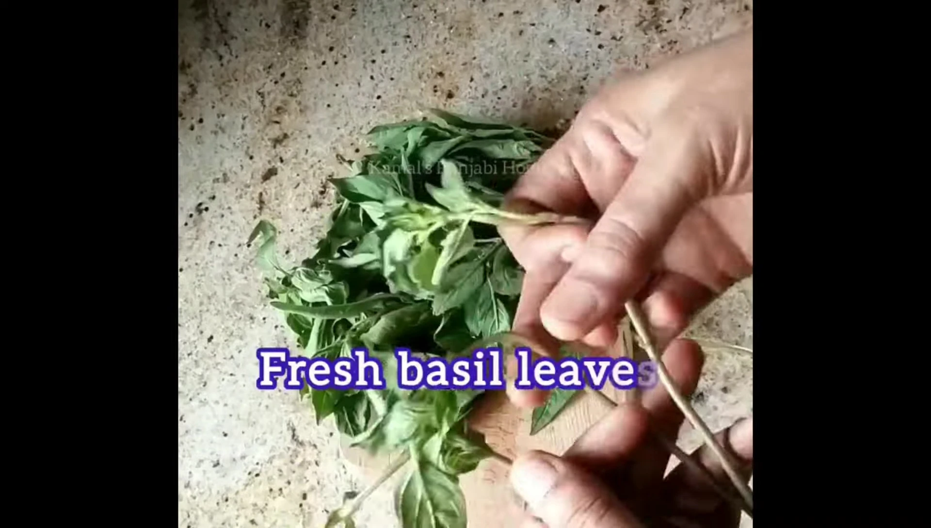 Ingredients for the pizza sauce: tomatoes and bay leaves.