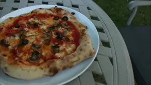Ninja Artisan Pizza Oven Review: Speedy & Delicious Pizza at Home